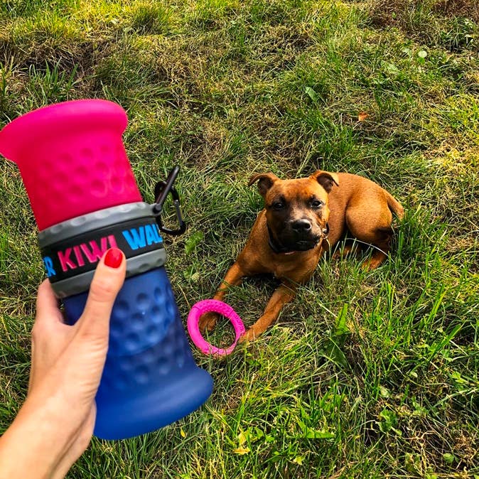 Kiwi Walker Travel Bottle 2 In1 Blue for wholesale by OFiuFiuPL