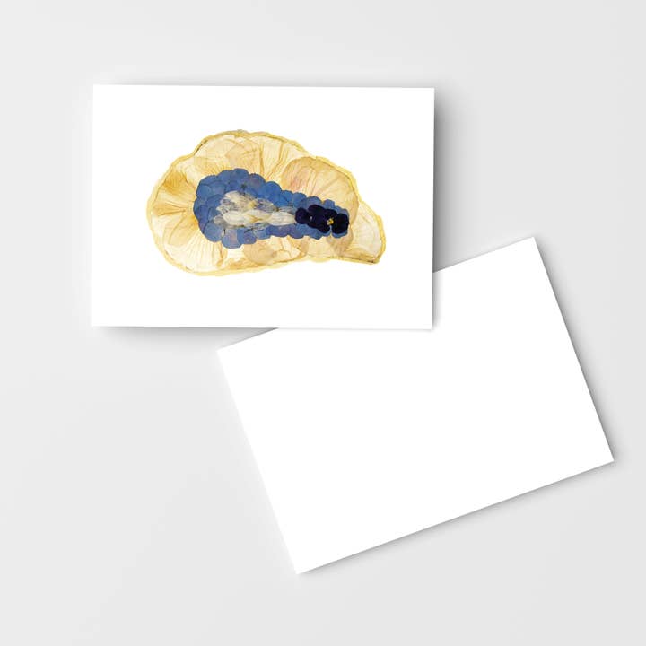 Harvested by Moonlight – Botanical Oyster A2 Boxed Notecard for wholesale by Mon Petit Chou Art and Design