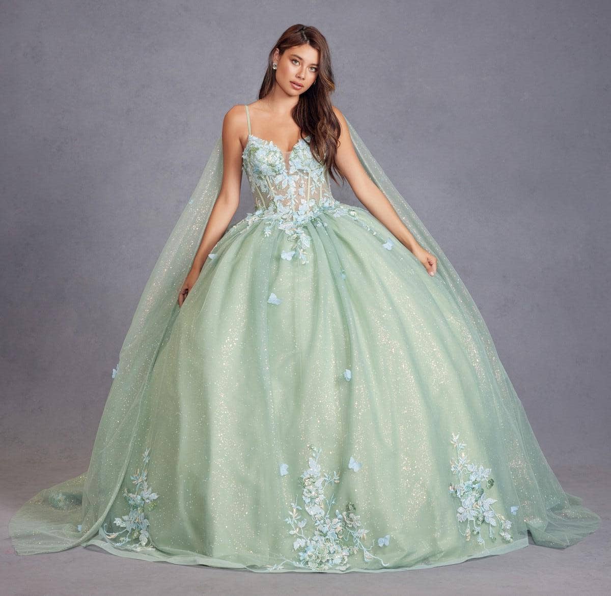 SAGE GREEN 3D Multi Floral Applique Cap Sleeve Long Quinceanera Dress JTJT1466H for wholesale on Faire4