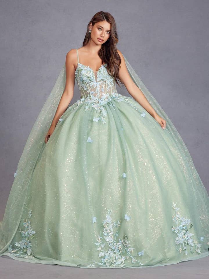 SAGE GREEN 3D Multi Floral Applique Cap Sleeve Long Quinceanera Dress JTJT1466H for wholesale on Faire4
