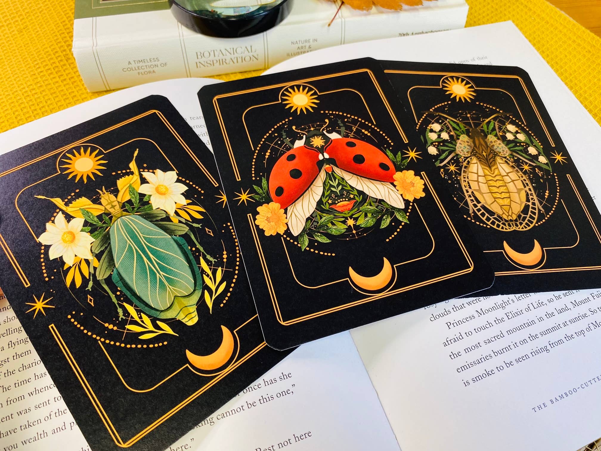 Split Moon Studios - Wholesale Art Print - A Set of Insect Art Prints - A6 Post Card Size - Artprint6