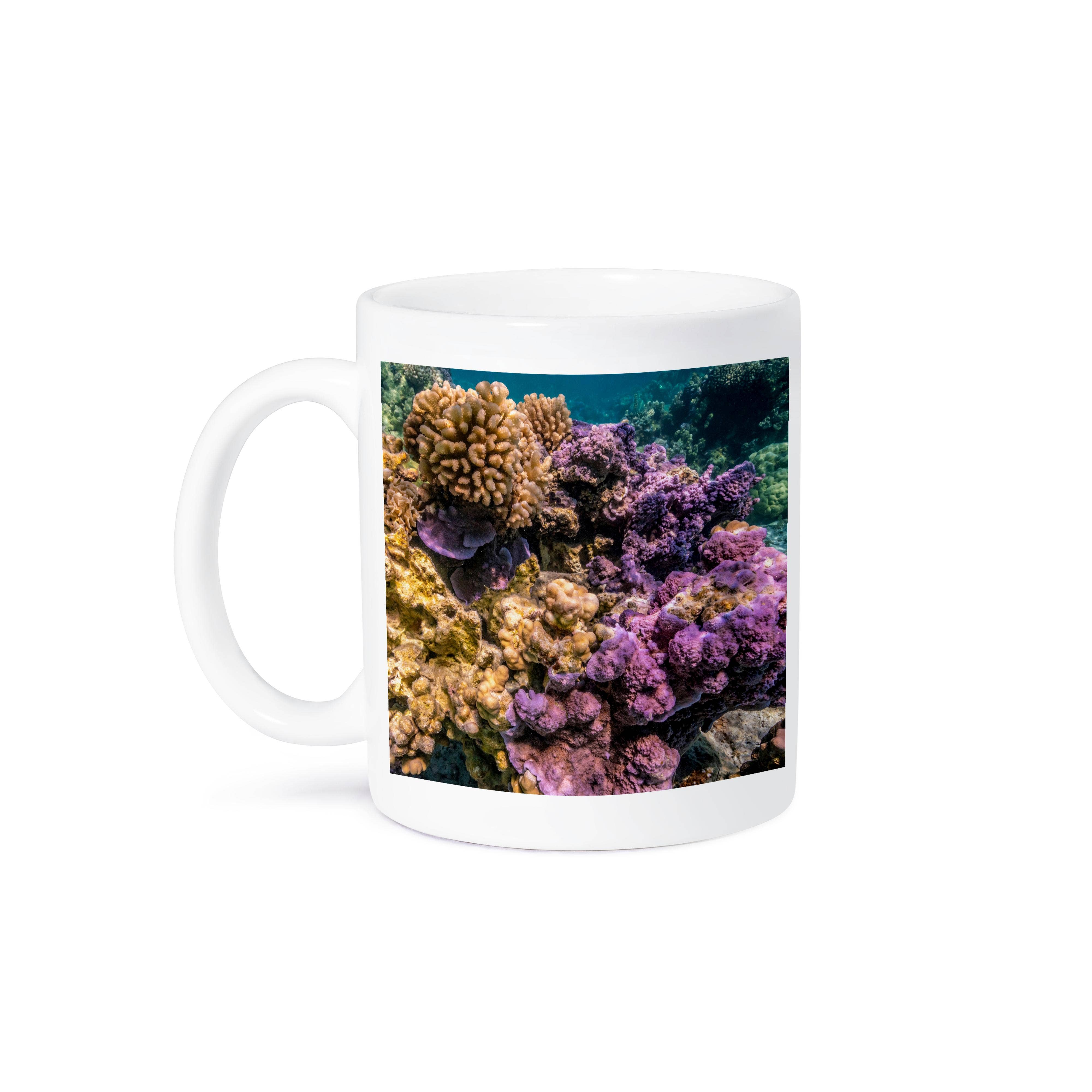 3dRose - Wholesale Coffee Mug - 3dRose, French Polynesia, Bora Bora. Closeup on coral garden., Mug8