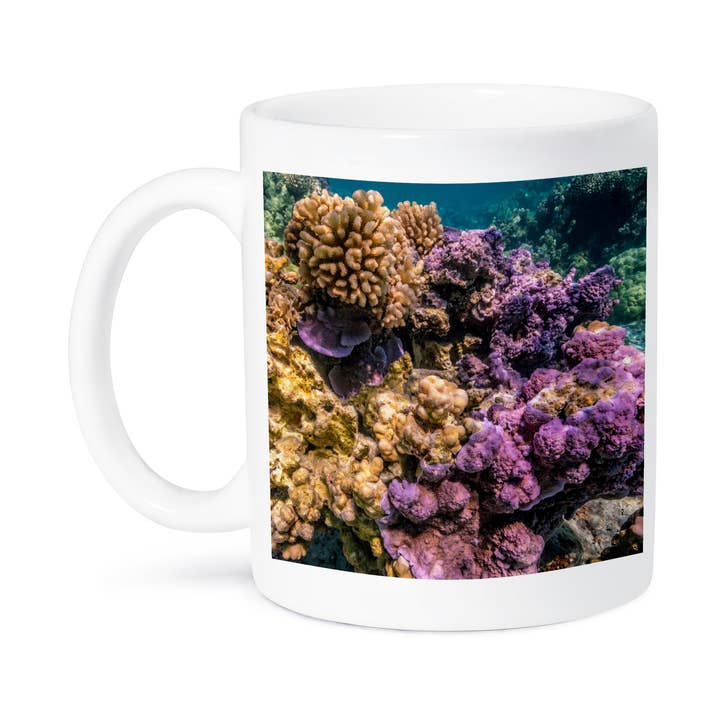 3dRose - Wholesale Coffee Mug - 3dRose, French Polynesia, Bora Bora. Closeup on coral garden., Mug8