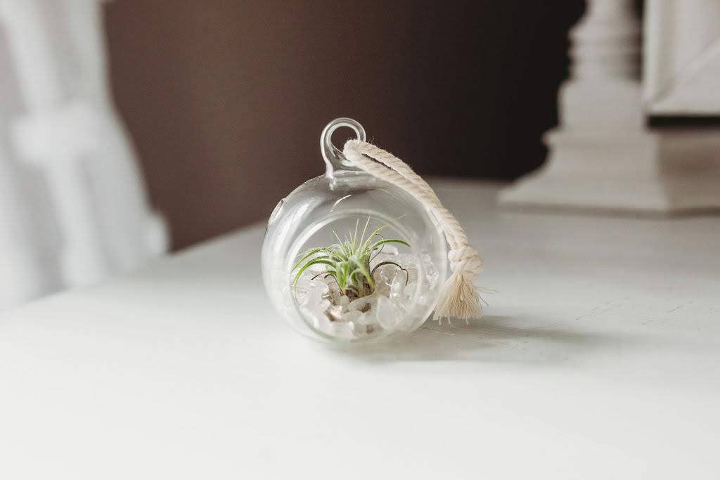 The Simply Crafty Shop - Wholesale Terrarium - Mini Orb Air Plant Terrarium Kit - Semi-Precious Stone53