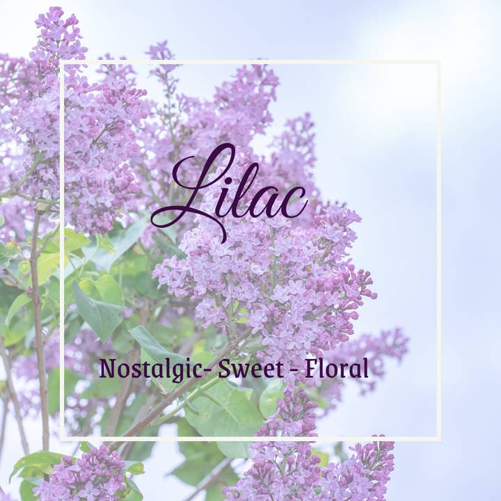 The Fresh Wife Soap Company - Wholesale Bar Soap - Lilac Bar Soap