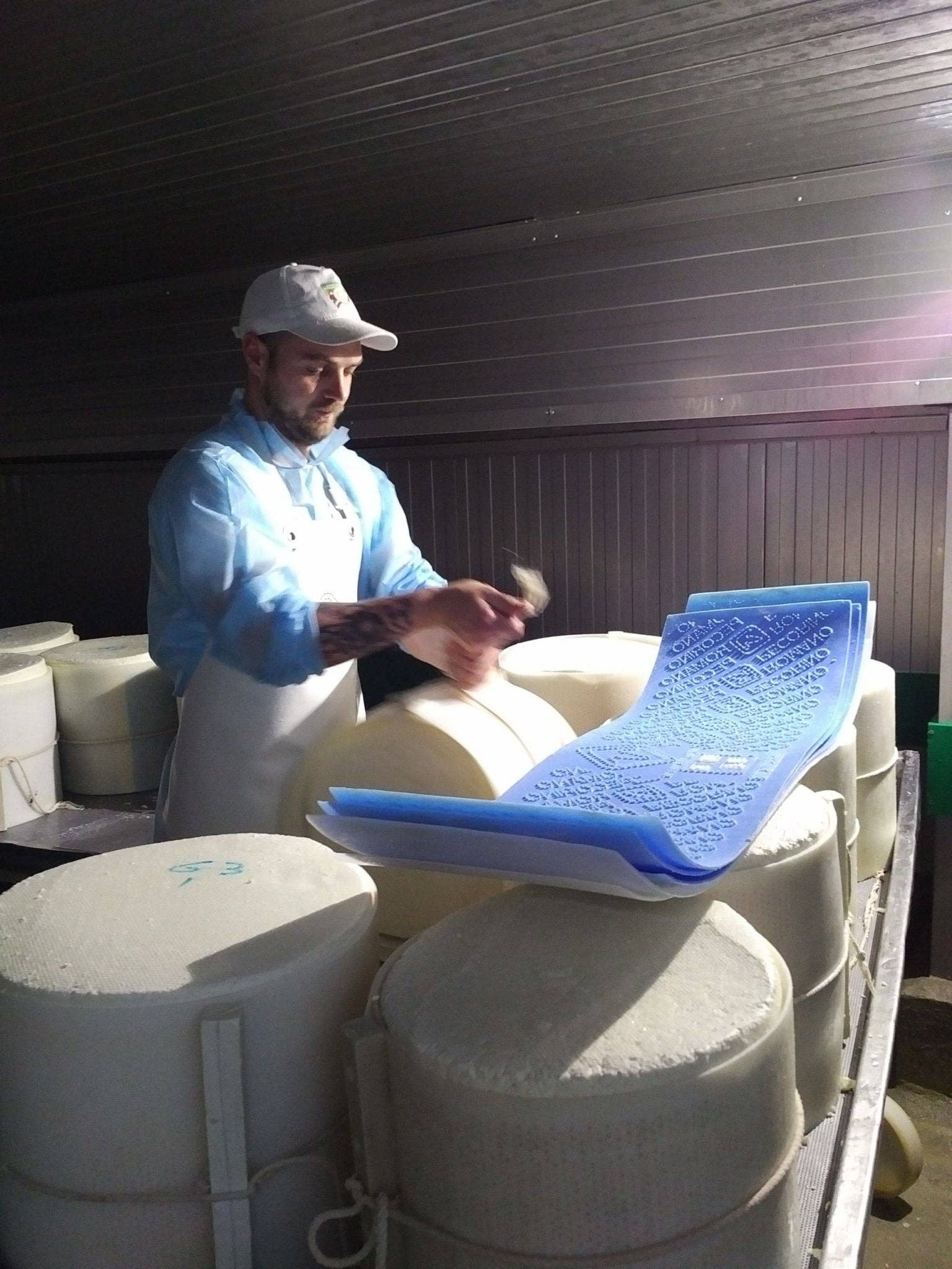 Nicola's Marketplace - Wholesale Cheese - Genuine Fulvi® Pecorino Romano DOP4