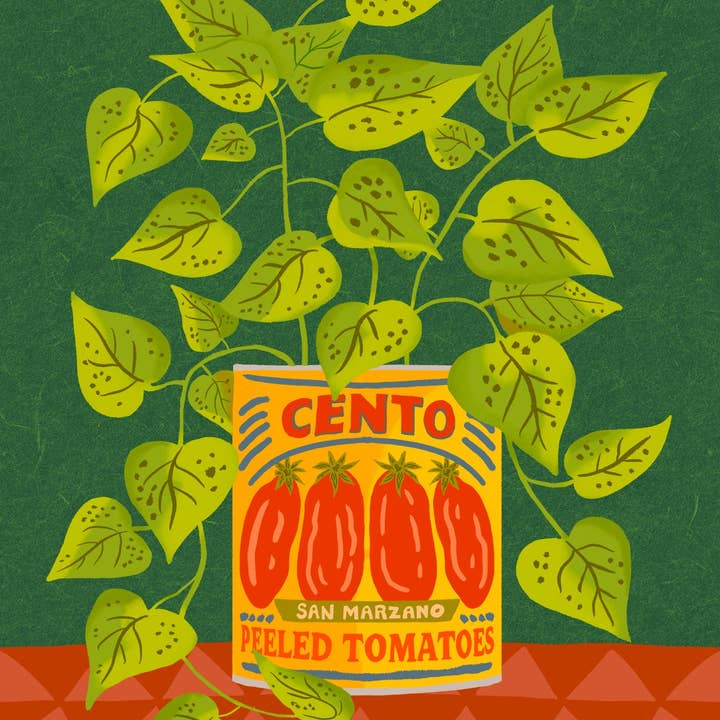 Impression de pothos en boîte de tomate pour la vente par Land & She