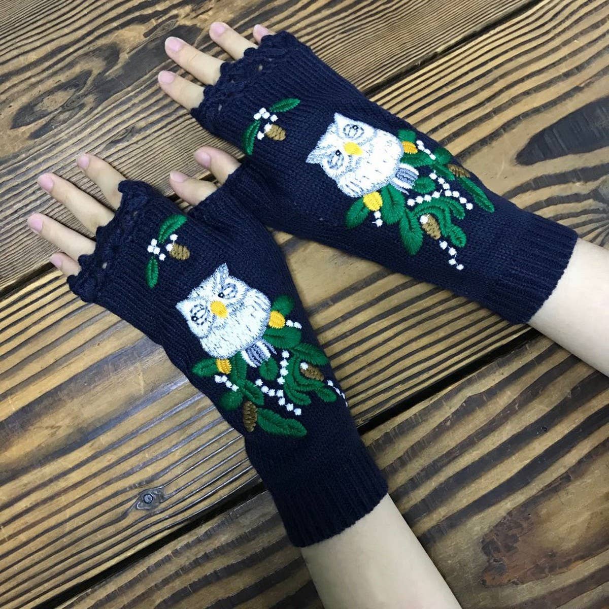 Blue 2024 NEW EMBROIDERED OWL GLOVES_CWMM1673 for wholesale on Faire0