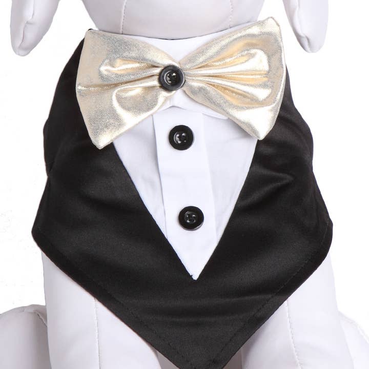 Mr. Darcy Formal Wedding Bandan and other Purchase Wholesale dog tux. Free Returns & Net 60 Terms on Faire trending on Faire.