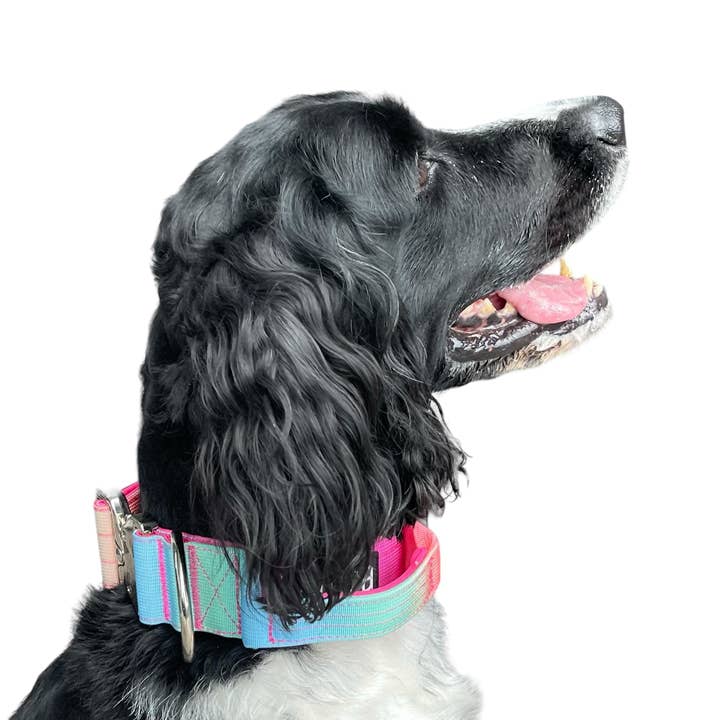 Koira - Wholesale Pet Collar - Dog - Tactical Dog Collar Pink to Purple Gradient (2"/ 5cm)