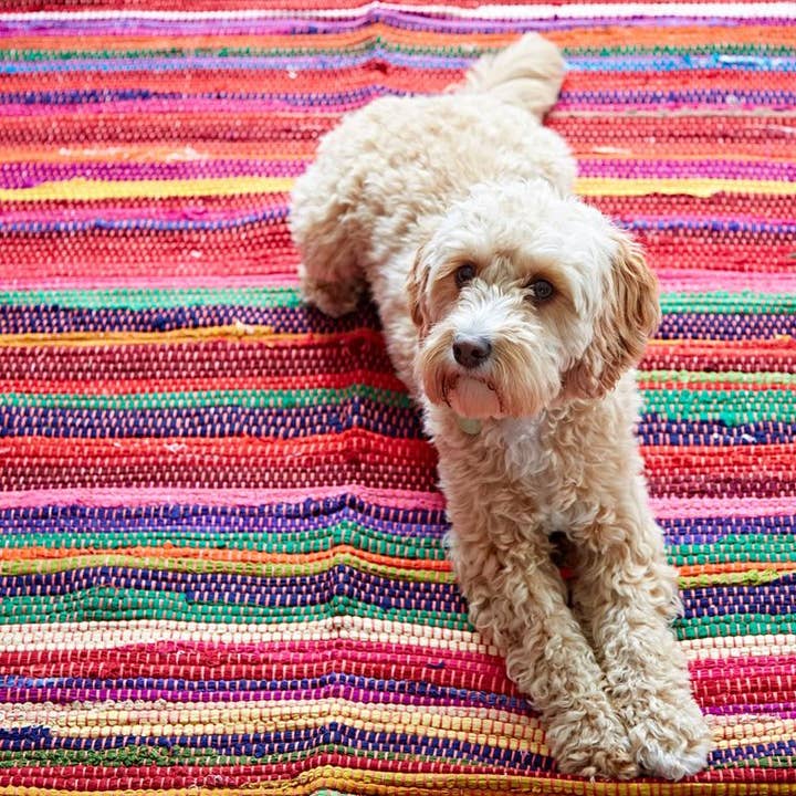 The Paper High Gift Company Limited - Wholesale Door Mat - Handmade Recycled Cotton Rag Rug - Door Mat