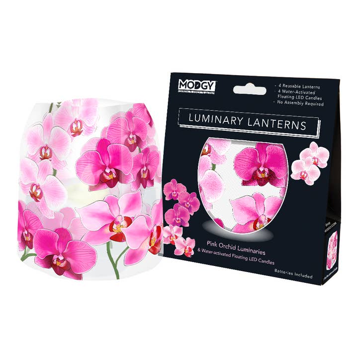 Luminary Lantern - Pink Orchid and other Purchase Wholesale miniature orchids. Free Returns & Net 60 Terms on Faire trending on Faire.