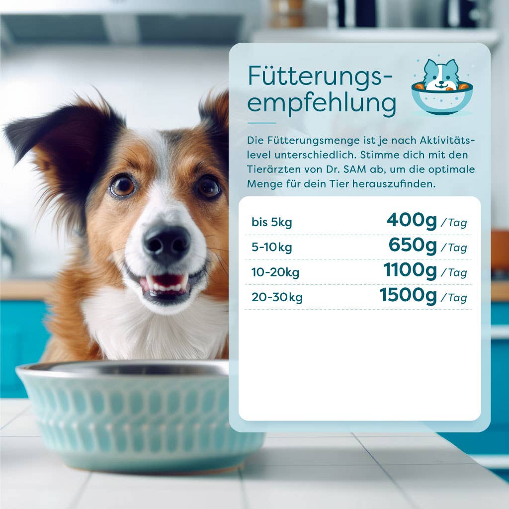 DrSAM - Wholesale Pet Food - Dog - Premium Wet Food Sensitive Chicken Ragout for Dogs 6x400g3