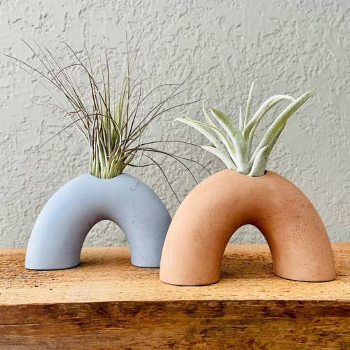 Supporto per piante pneumatiche Arch Cement per la vendita all'ingrosso da parte di Sage Planta