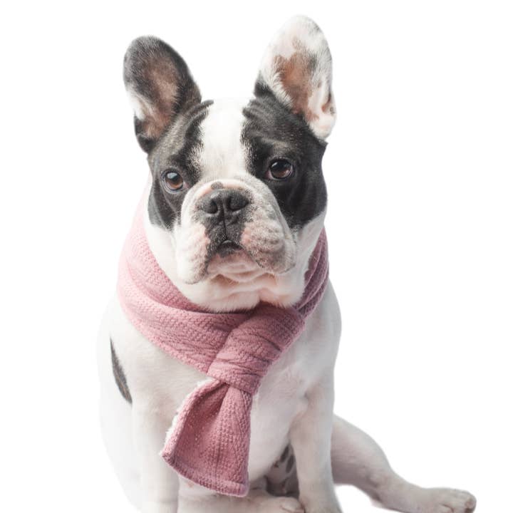 PINK SCARF for wholesale by Wiwis