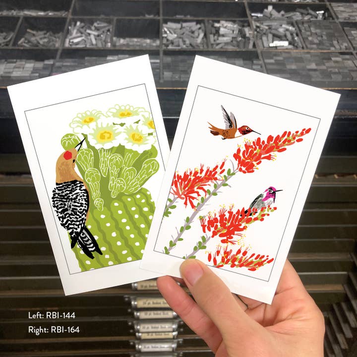 Rigel Paper - Wholesale Postcard - RBI-164 Flowering Desert Ocotillo & Hummingbirds Postcard1