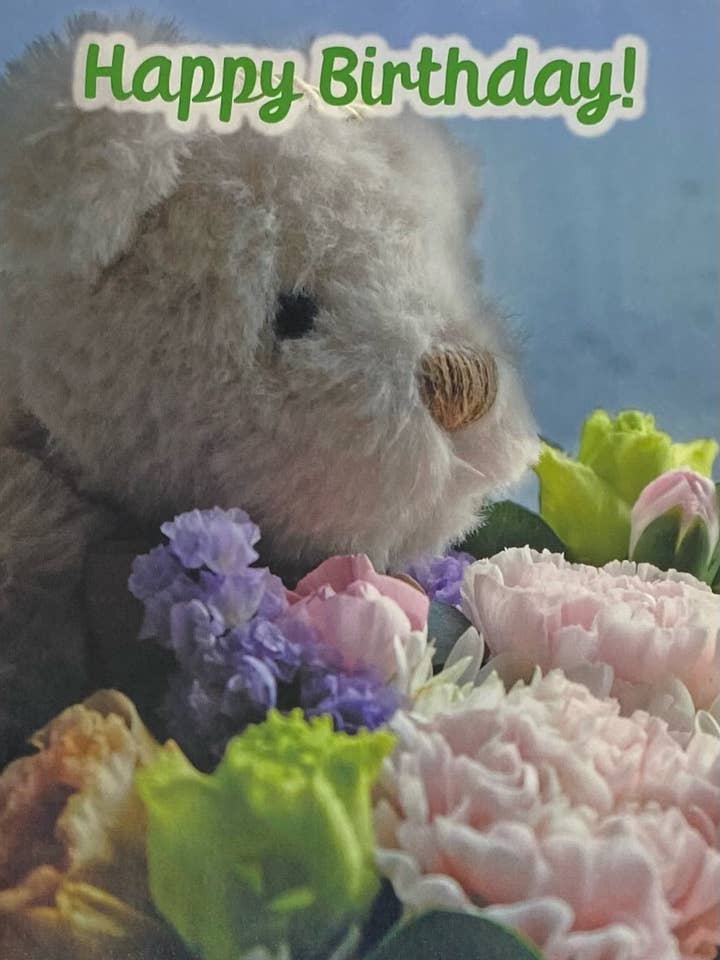 Grattis på födelsedagen, nallebjörn, söt gratulationskort för wholesale av 90210 Exotics