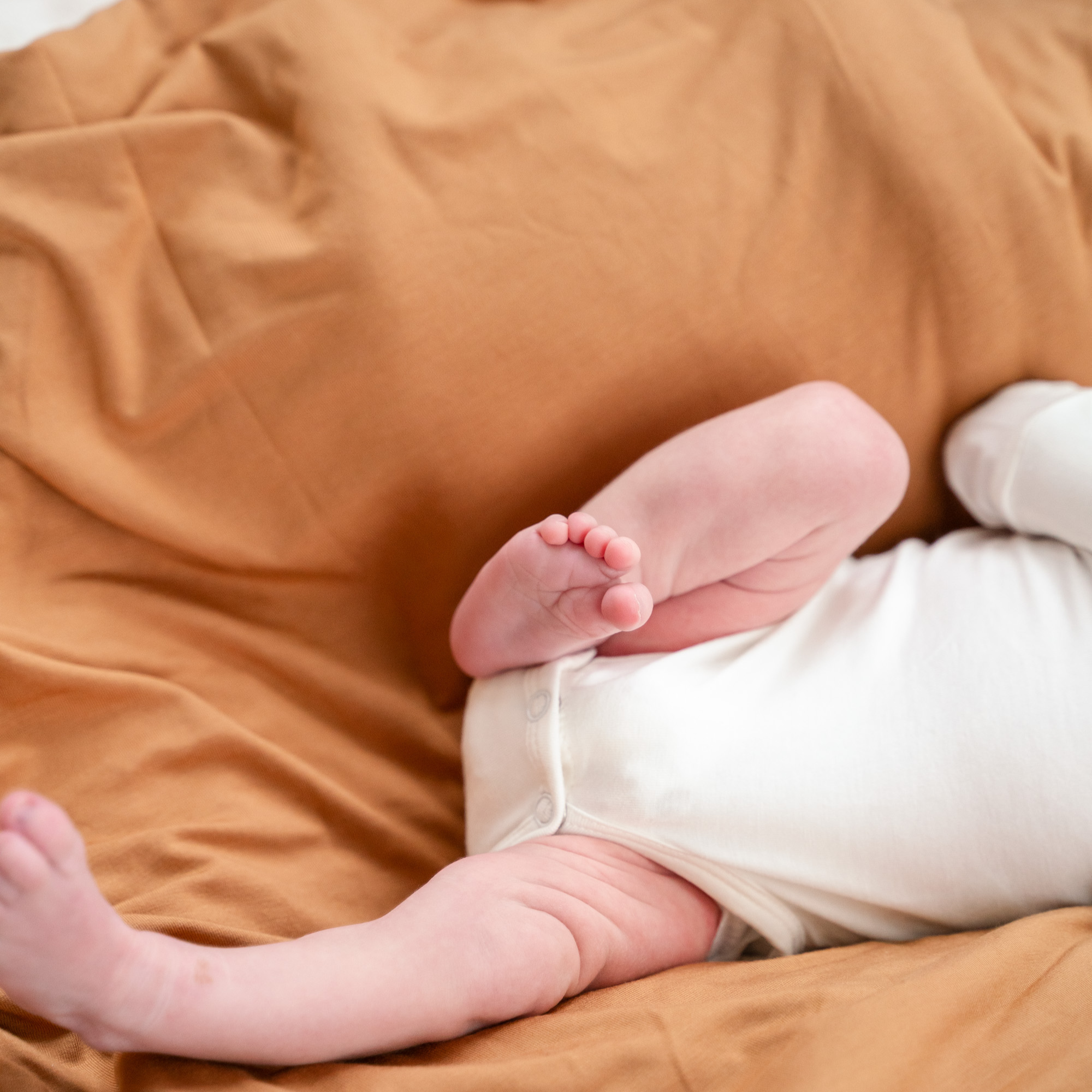 Pip + Phee – wholesale Bodysuit (non-footed) – Baby – Long Sleeve Bodysuits18