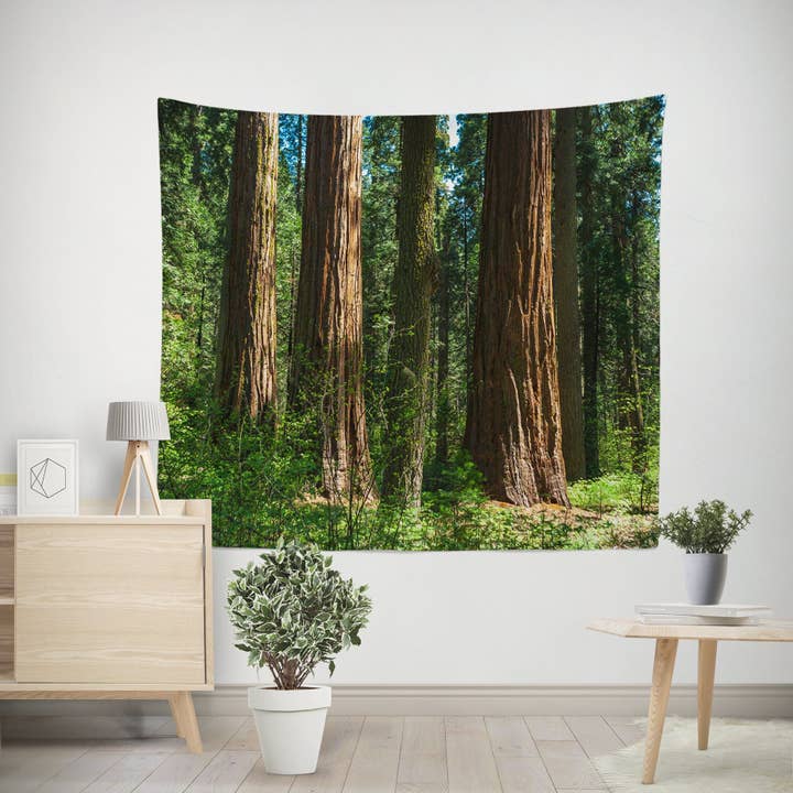 Tapisserie murale Sequoia Forest, décor californien pour la vente par lostkatphoto