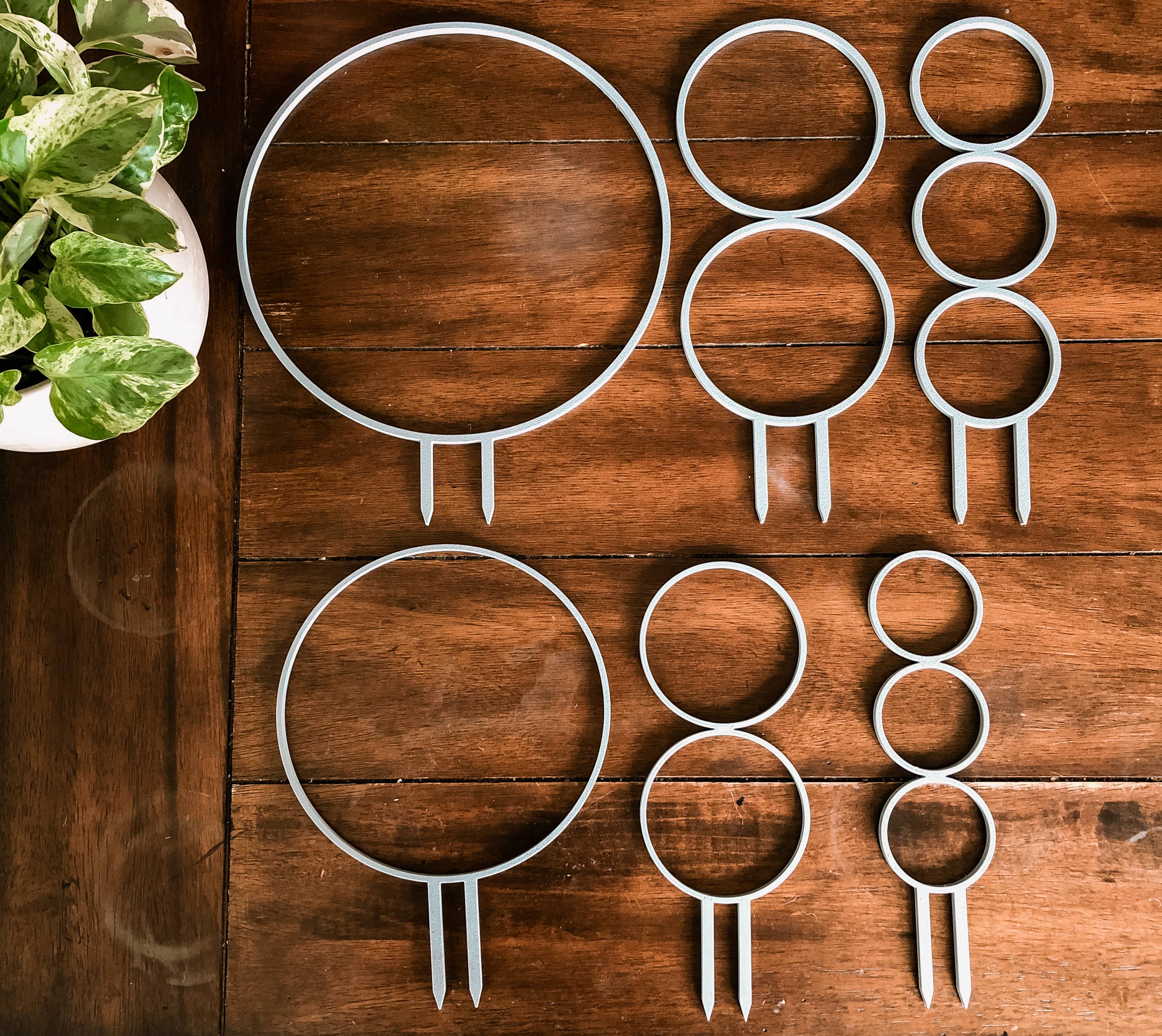 Pine & Sprout - Wholesale Trellis - Circle Houseplant Trellis1