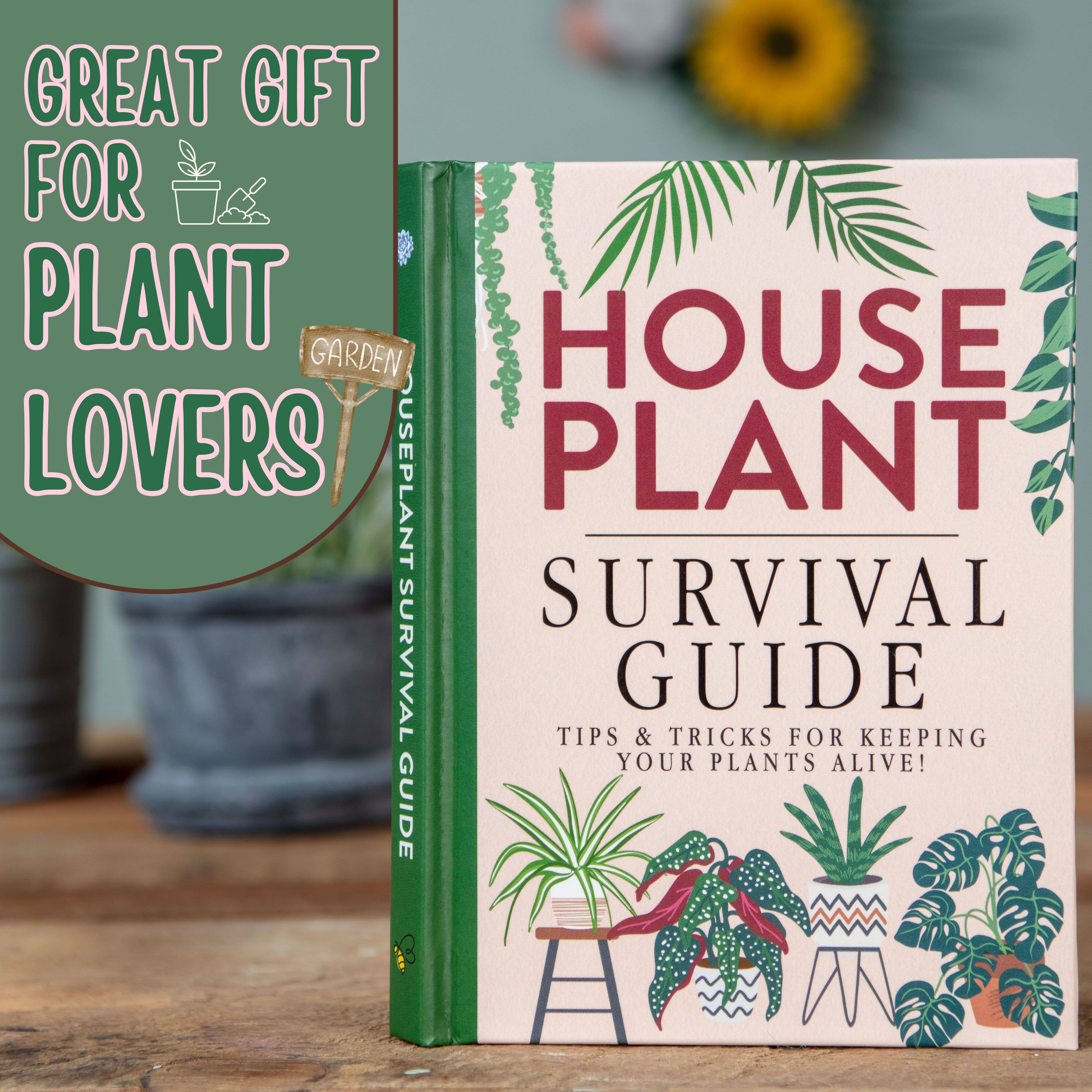 Boxer Gifts - Vente Maison et jardin - Guide de survie des plantes d'intérieur - Conseils et astuces pour les plantes4