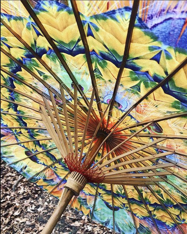 Enlighten - Wholesale Umbrella - Women's - Feather Kaleidoscope Parasol5