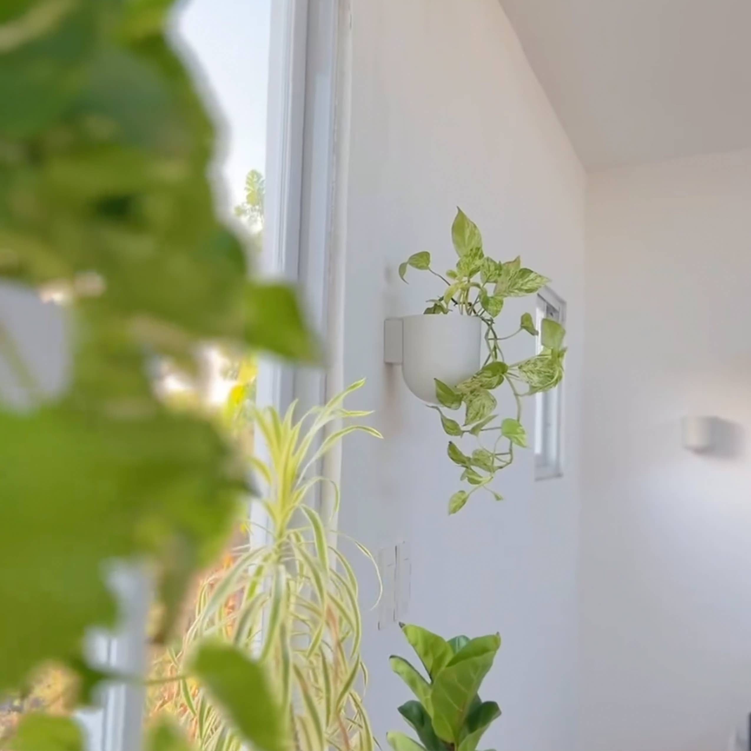 Kanso Designs - Wholesale Wall Planter - Wall Mounted Recycled Plastic Planter Pots | 5.5" and 7"7