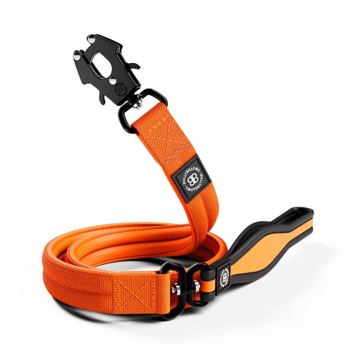Mini Combat® Laisse 1,2 m - Orange pour la vente par BullyBillows Ltd