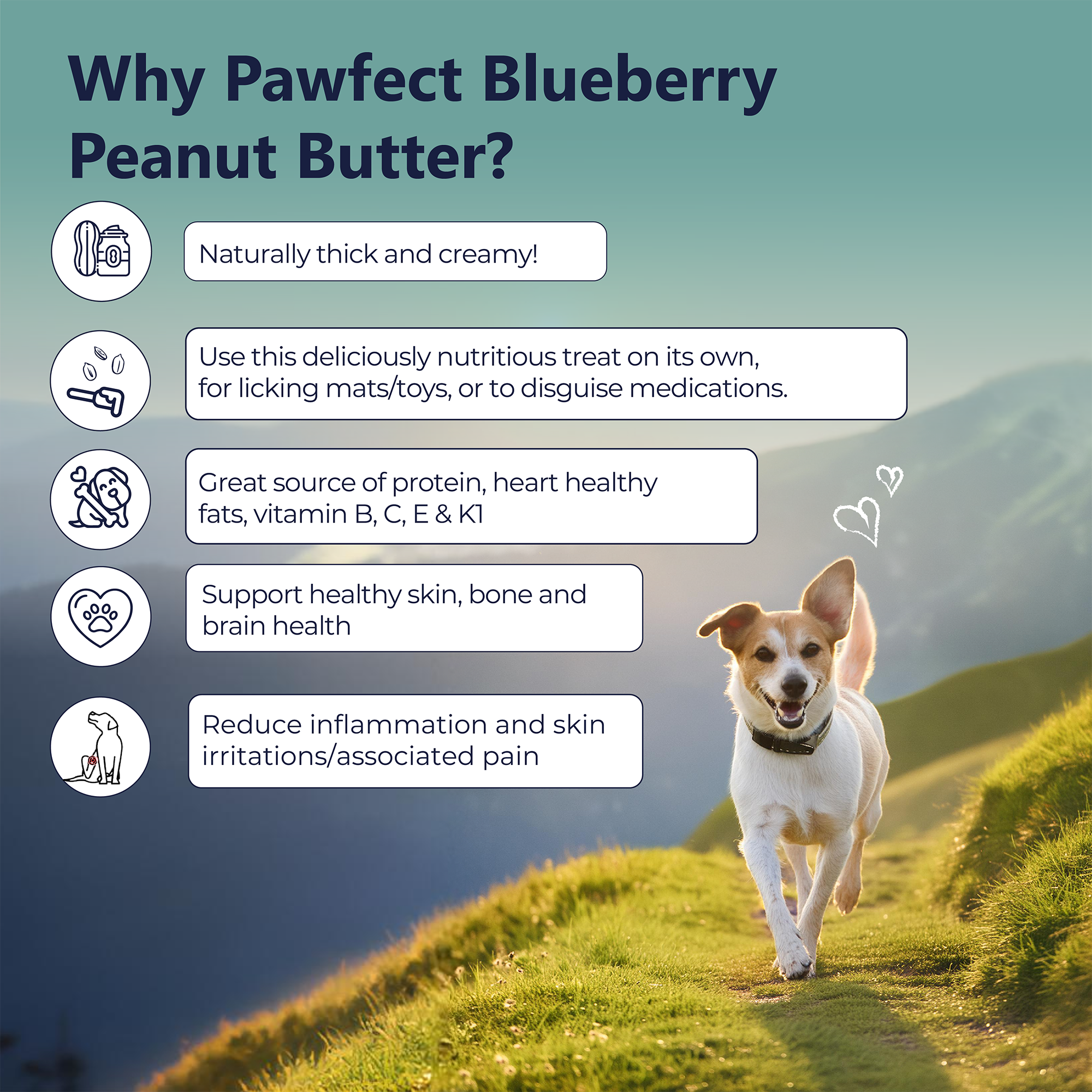 Pawfect Foods - Wholesale Pet Treats - Dog - Pawfect Peanut Butter with Blueberries & Hempseeds for Dogs & Puppies | 100% Natural | No Added Sugar, Salt, Palm Oil | No Sweeteners, No Xylitol | Healthy Dog Treat4