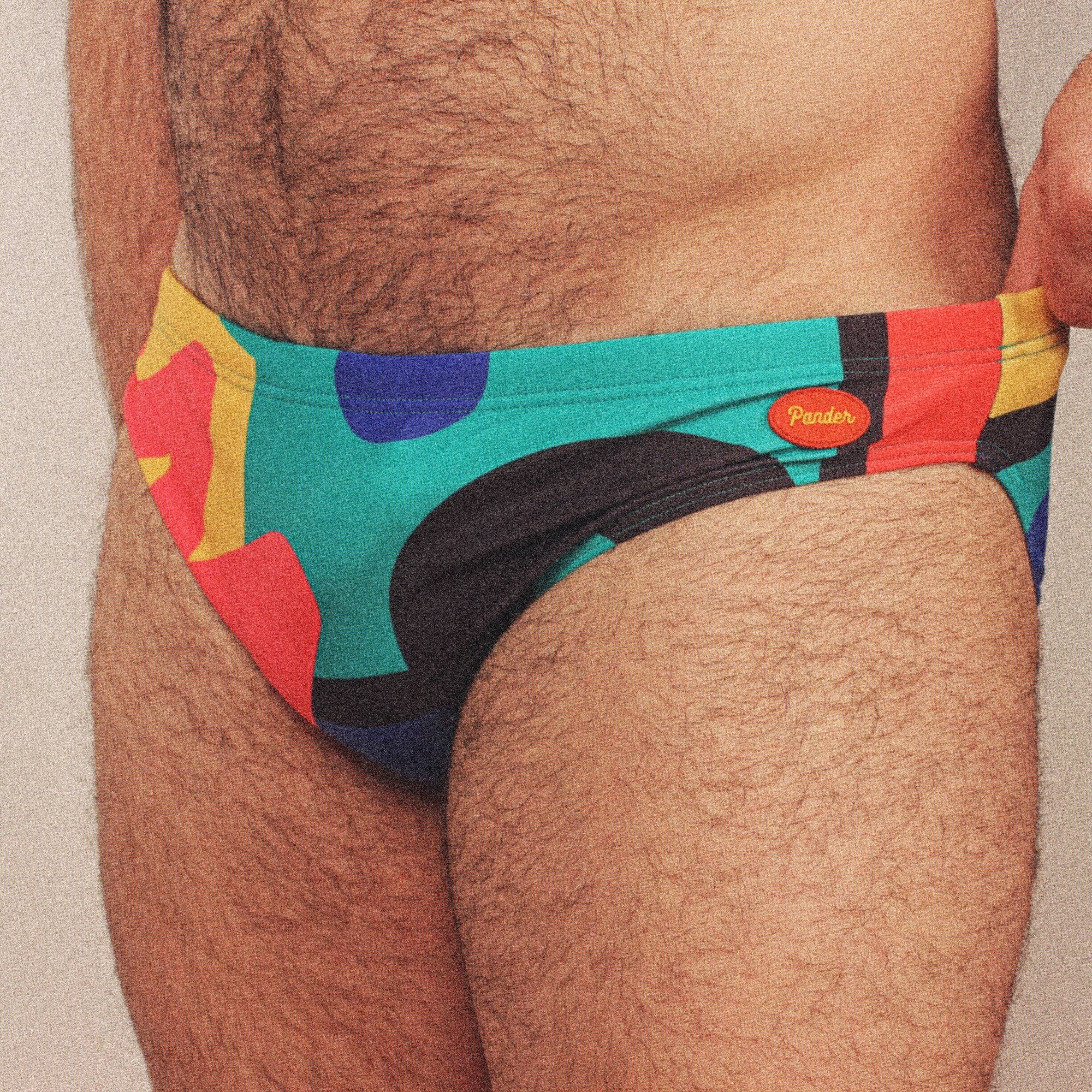 Pander - Wholesale Swim Bottoms - Men's - Walking in Memphis Swim Brief7