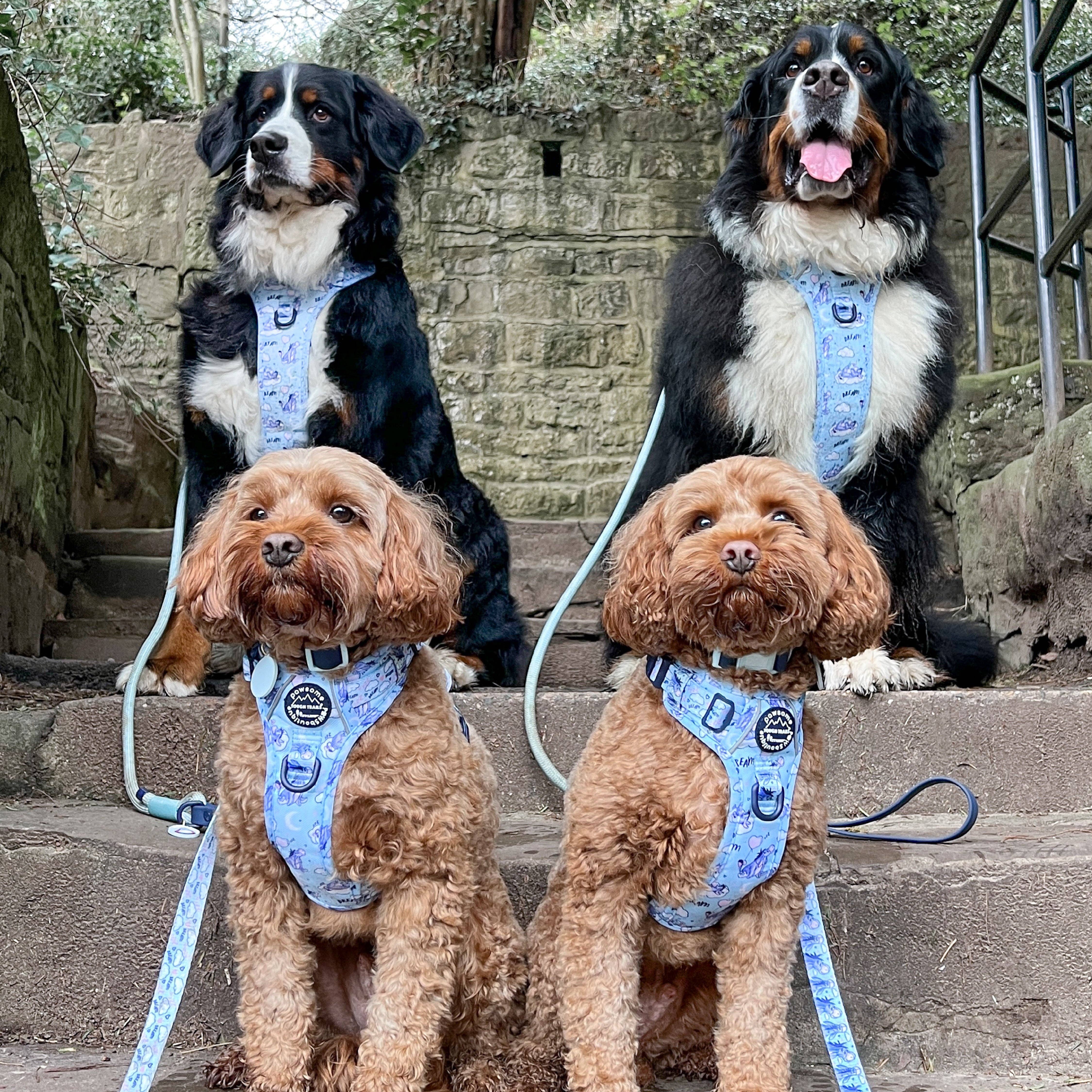 Pawsome Paws - Vendita all'ingrosso Pettorina - Cani - Disney© Tough Trails™ Pettorina - Ih-Oh13