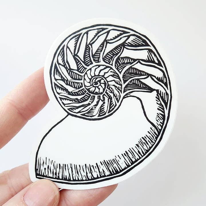 Pegatina náutica para concha, 3 x 2,4 in para venta al por mayor de Hannah Guthrie Designs