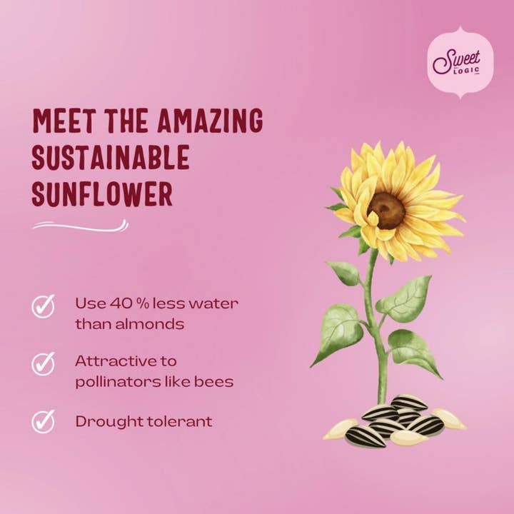 Sweet Logic - Wholesale Cookie - Chocolate Chip Mini Cookie - Keto, Sugar-Free, Gut-Friendly1