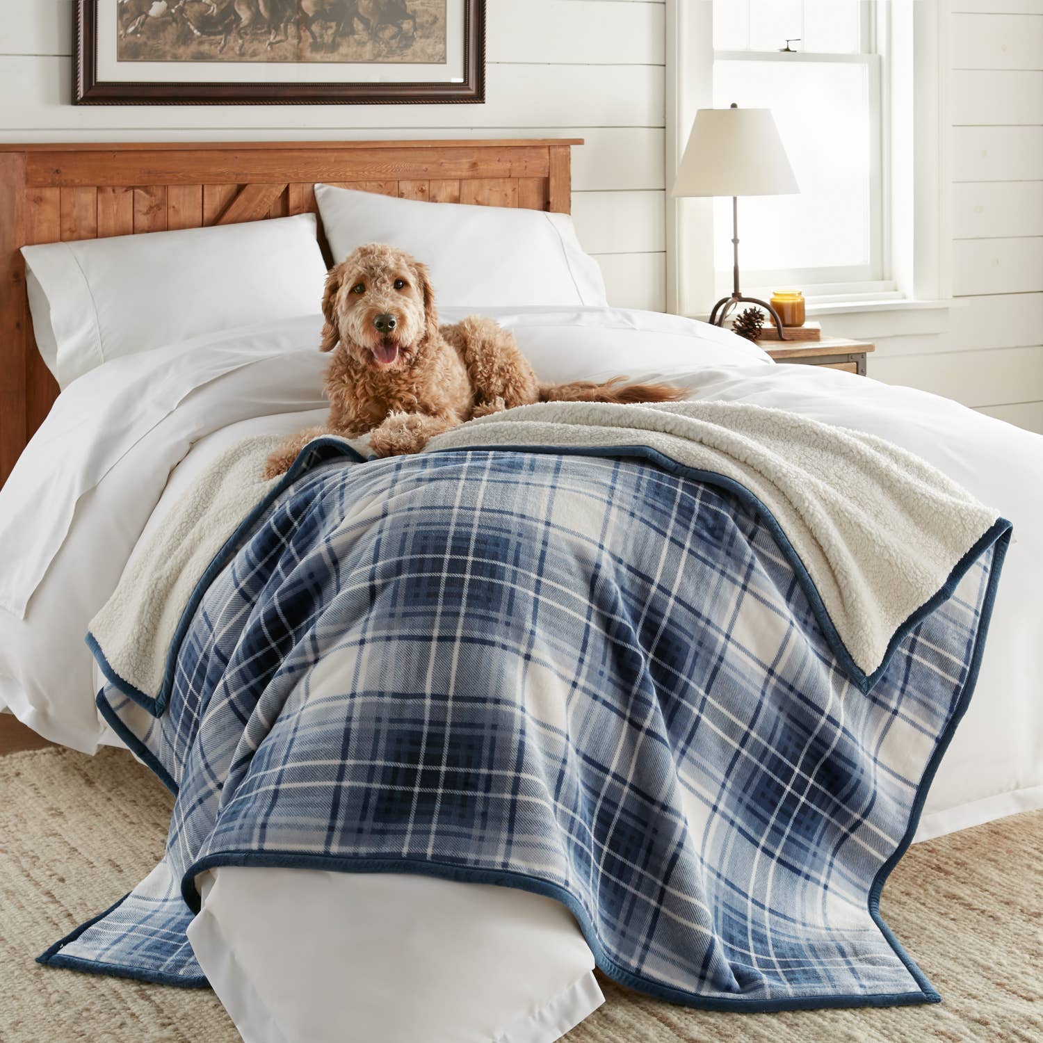 Crafted by Catherine - Wholesale Throw Blanket - Velvet Plush Sherpa Throw 60" x 70"16