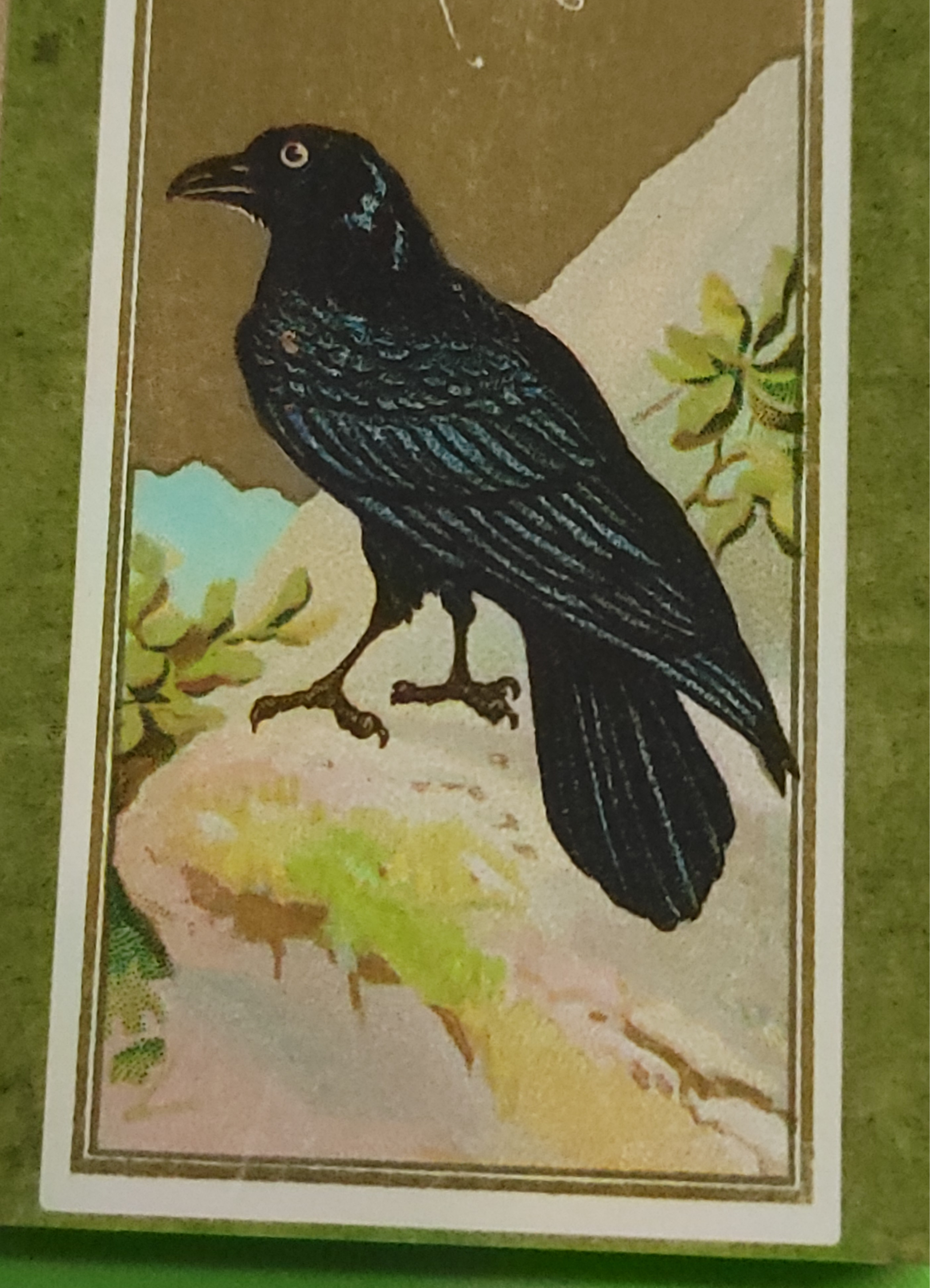 Superior Dry Goods - Wholesale Matches - "Edgar Allan Poe" Handmade Decorator Matchbox Lot7