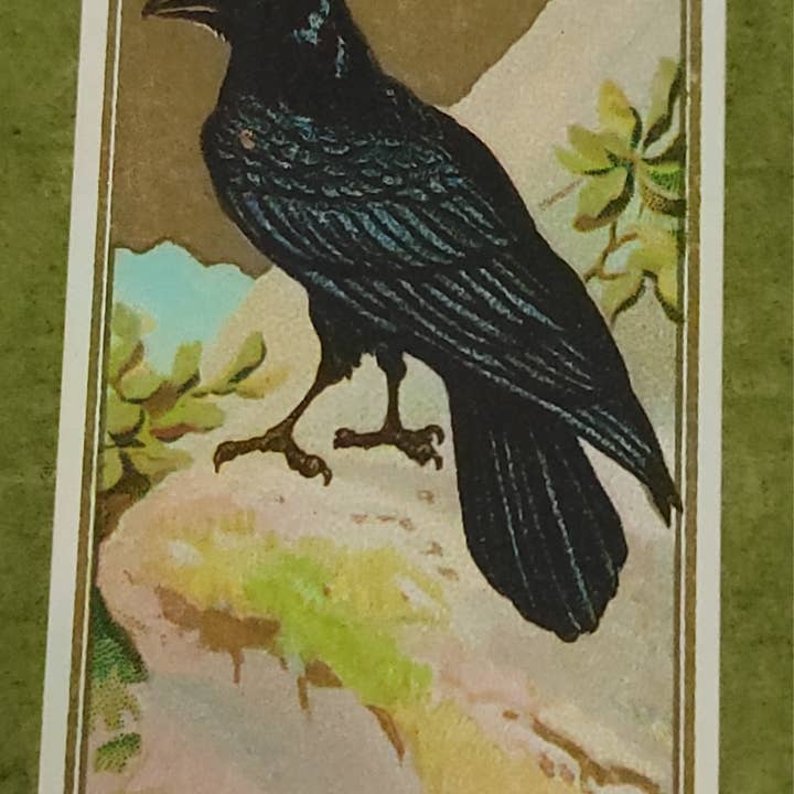 Superior Dry Goods - Wholesale Matches - "Edgar Allan Poe" Handmade Decorator Matchbox Lot7