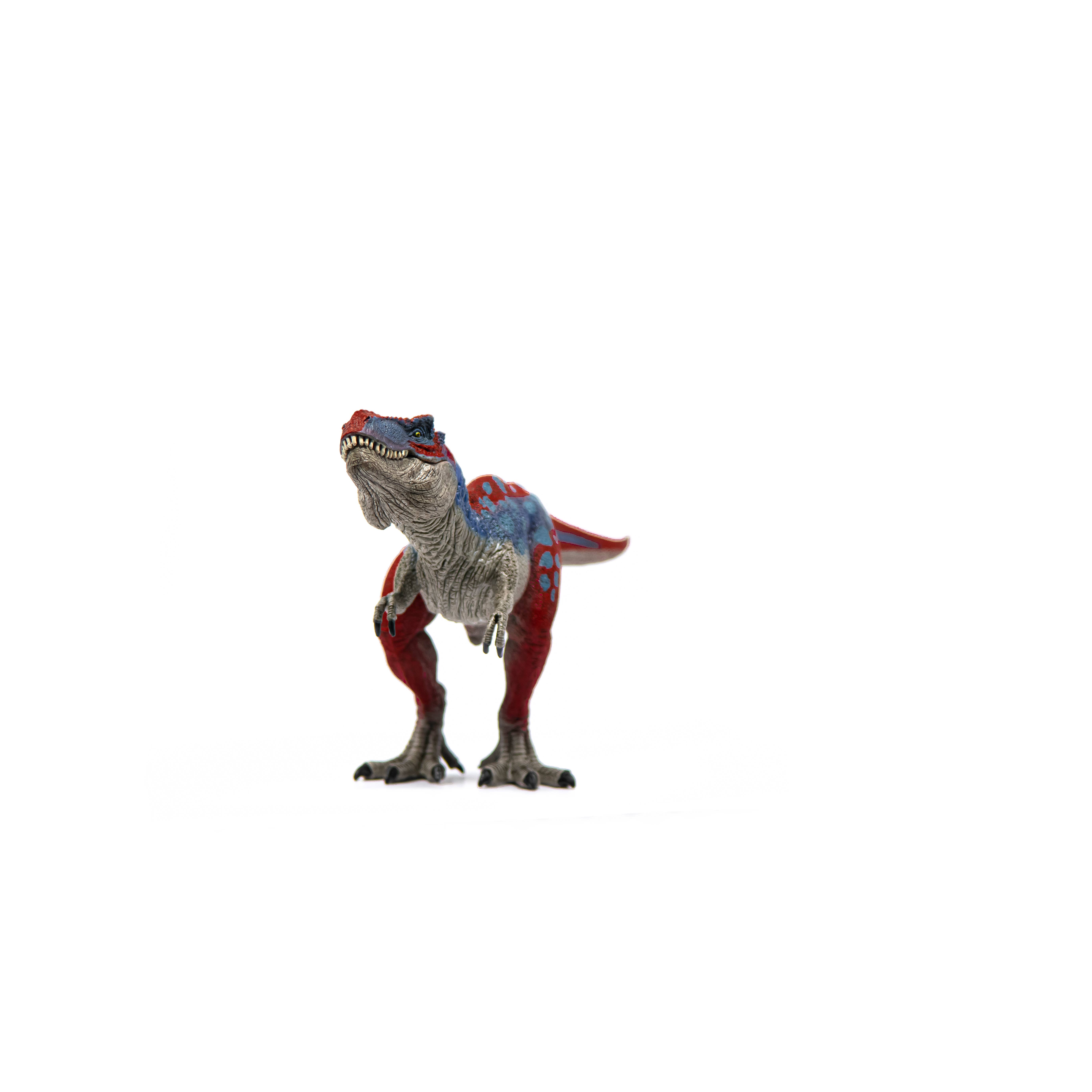 Schleich - Wholesale Figurine Toy - Kids - Tyrannosaurus Rex Blue Dinosaur Toy3