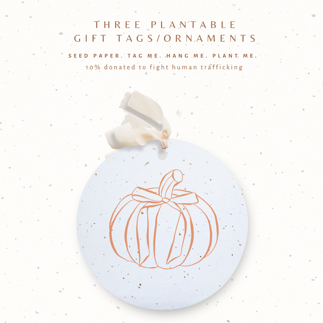 Paper Baristas – wholesale Ornament set – Plantable Seed Gift Tags / Ornaments Set of 3 FALL PUMPKIN2
