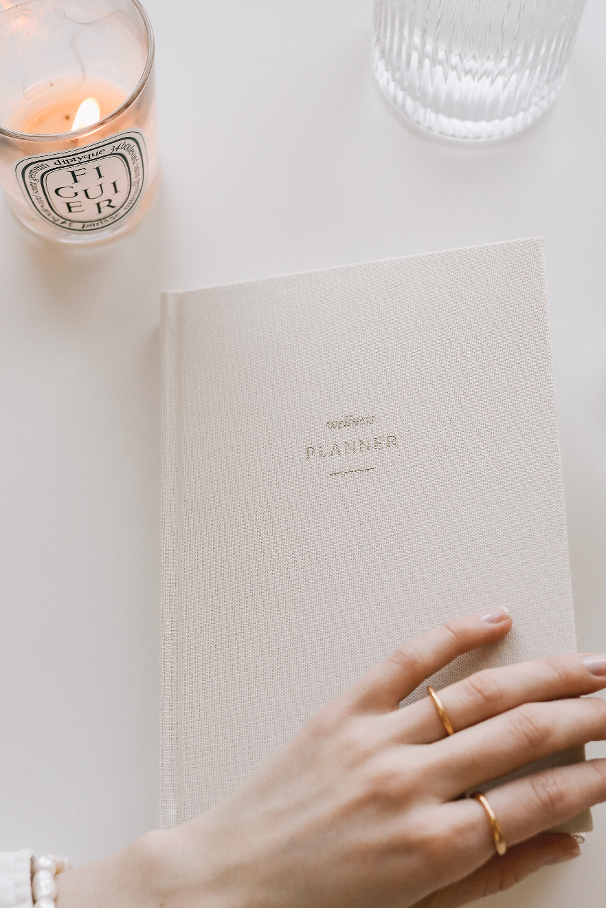 Strawberry Goose - Wholesale Planner - Wellness Planner5