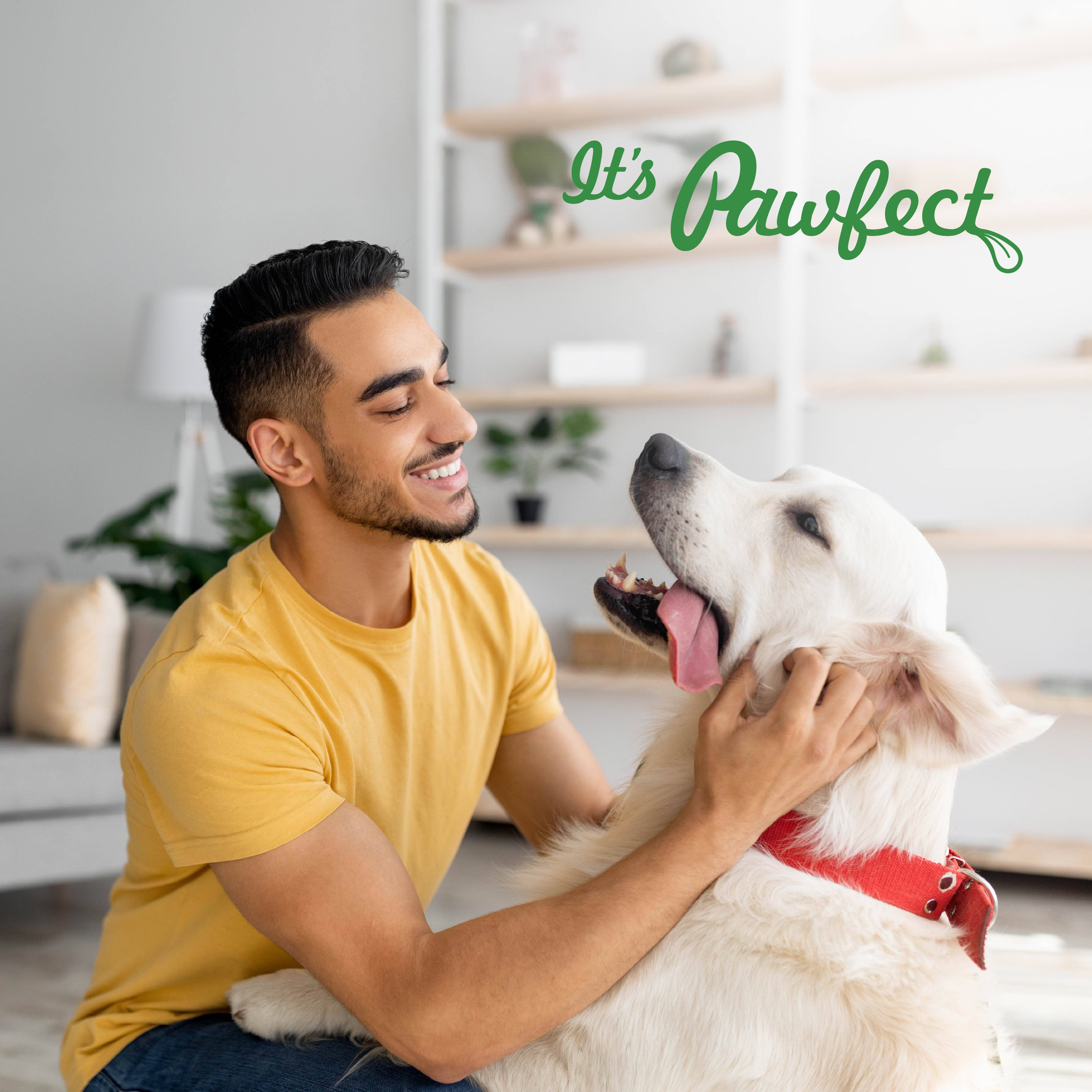 Pawfect Foods – wholesale Kosttillskott för husdjur - Hund – Pawfect Pumpkin Purge dagligt tillskott för hundar | 100 % naturligt | Berikat med äppelpektinpulver, linfrön, pre- och probiotika | Främjar matsmältning och fast avföring | Stöder analgrendränering (250 g)5