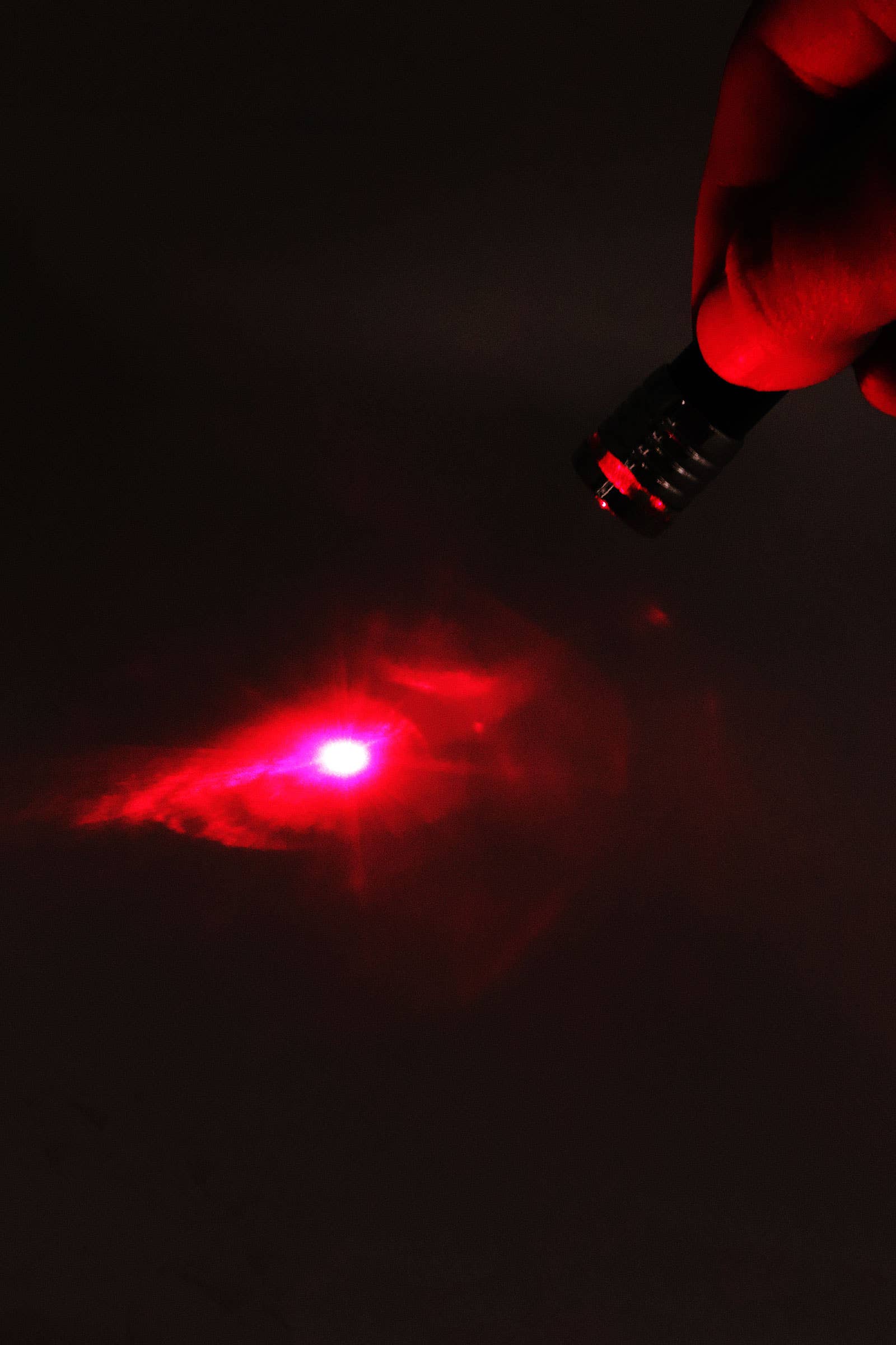 ASSORTITI Torcia a LED solida 2 in 1 con puntatore laser. in vendita all'ingrosso su Faire3