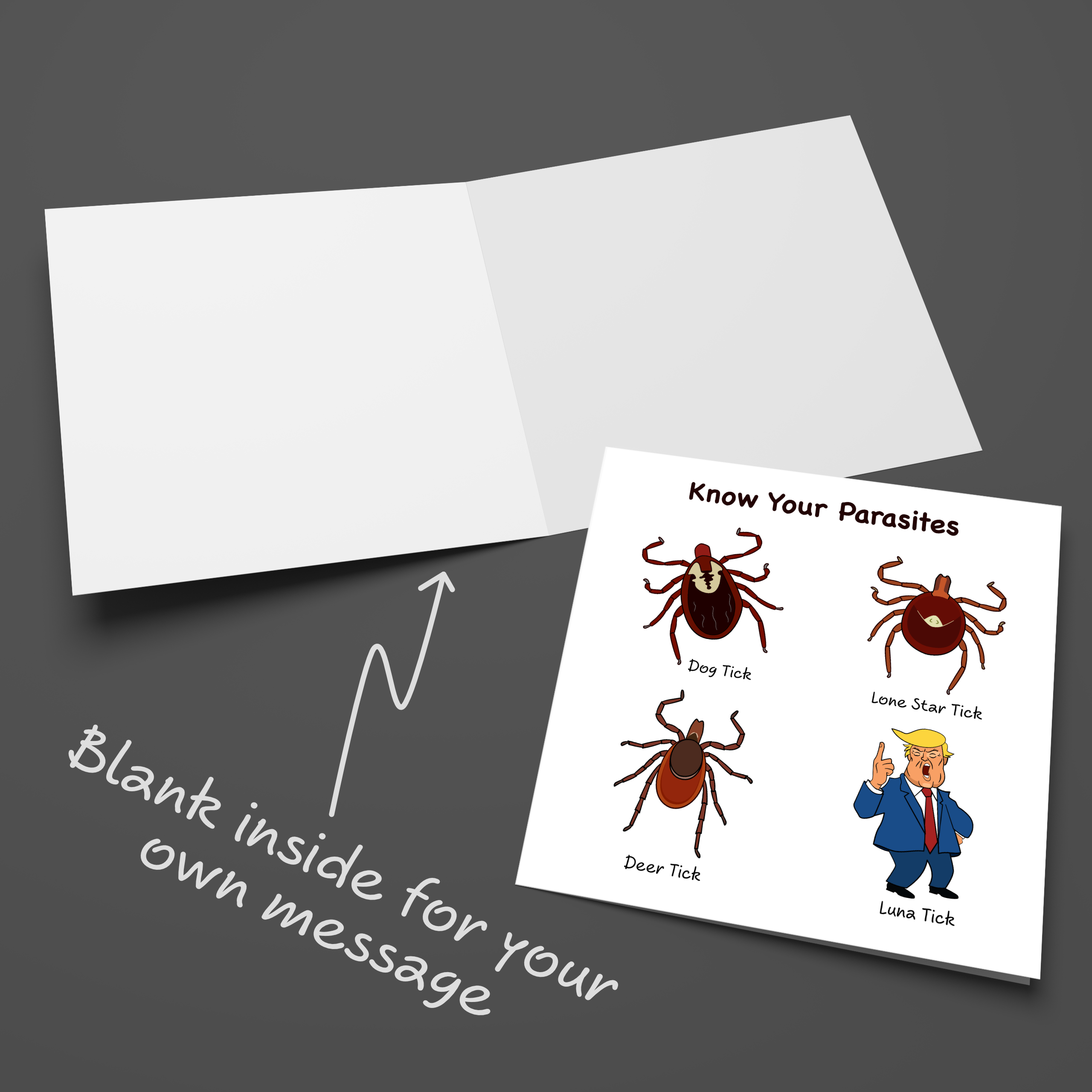 Swizzoo Cards – wholesale Birthday card – Funny Donald Trump Birthday Card Tariffs Make America Great Again Cheeky Humor3