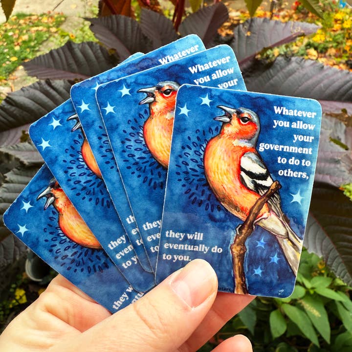 Fabulously Feminist - Wholesale Sticker - Whatever you allow your government to do to others: sticker5