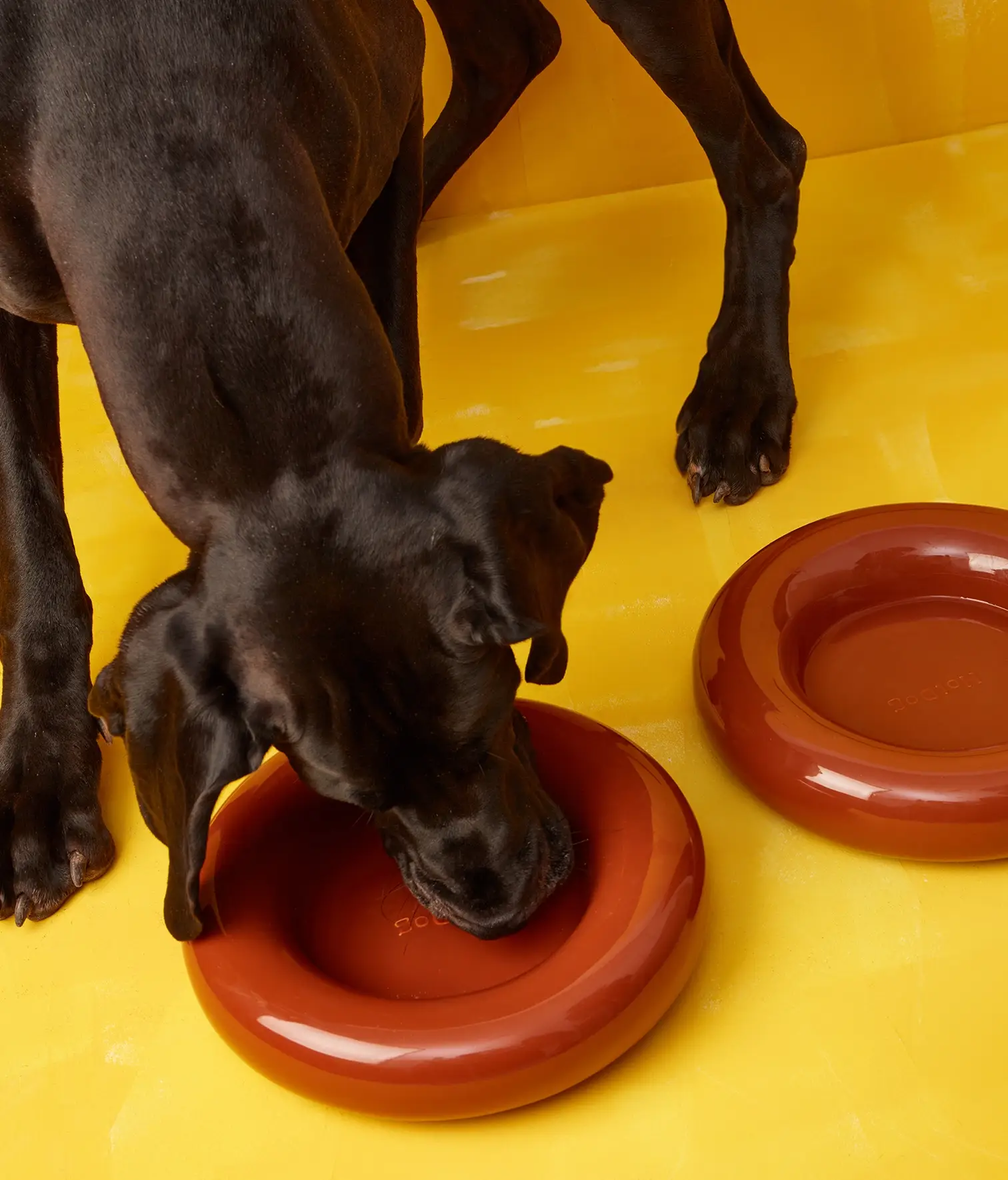 HotDog Pets - Wholesale Pet Bowl - Cat/Dog - Brown ceramic dog feeder12