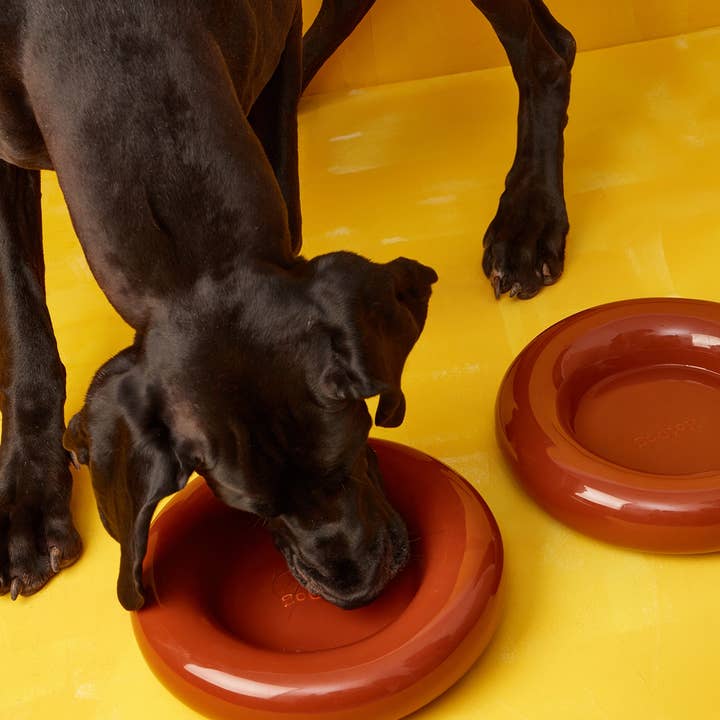 HotDog Pets - Wholesale Pet Bowl - Cat/Dog - Brown ceramic dog feeder12