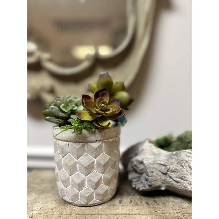 Vagabond Vintage - Wholesale Plant Pot - Geometric Cement Planter2