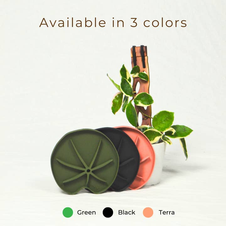 Treleaf - Wholesale Plant Pot - Lili Sausr - Lilly pad shaped Saucer - Spill tray - Drip tray for houseplants - Humidity tray5