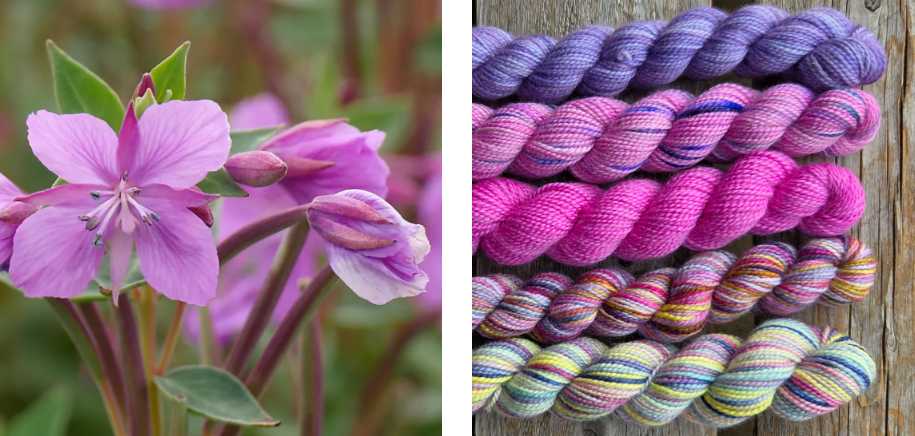 Koigu Wool Designs - Vente Fils à tricoter - Boîtes de Peinture de Fleurs Provinciales (ensembles de mini-écheveaux)28