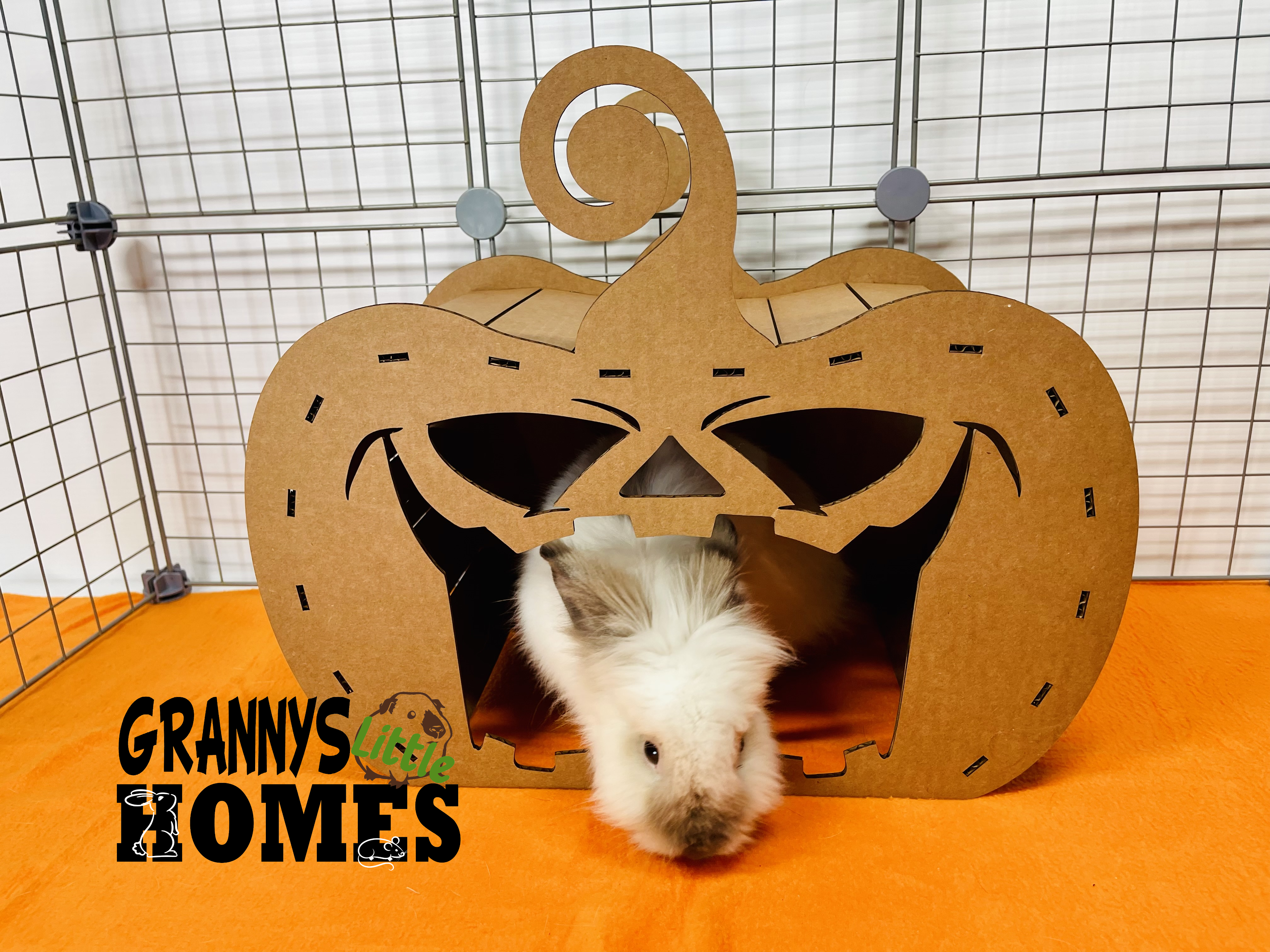 Grannys Little Homes - Wholesale Pet Cave - Cat/Dog - Cardboard Pumpkin Hidey2