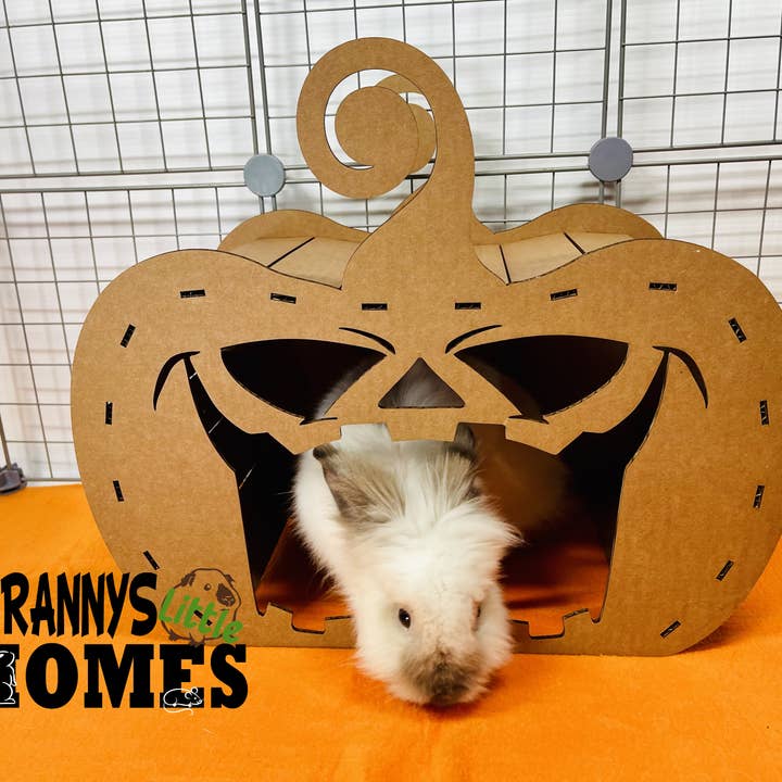 Grannys Little Homes - Wholesale Pet Cave - Cat/Dog - Cardboard Pumpkin Hidey2